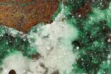Quartz Crystals on Atacamite - Peru #132362-1
